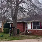 How Much Does Tree Removal Cost in Evansville, IN?