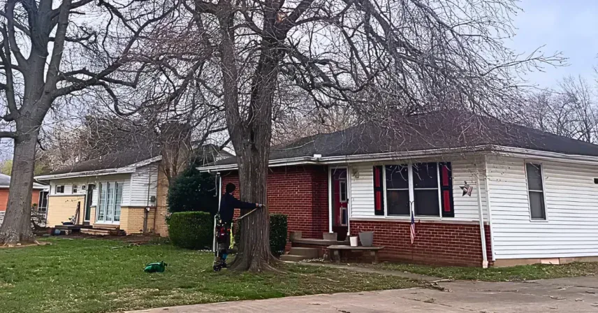 How Much Does Tree Removal Cost in Evansville, IN?