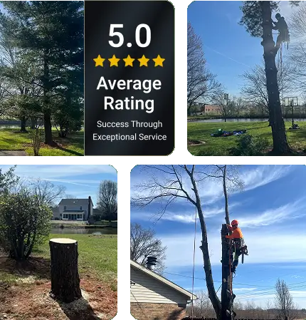 Family-Owned Tree Service Company Serving Evansville and Southwest Indiana