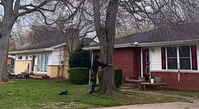 What Tree Damage in Evansville, IN Should You Photograph for Home Insurance?