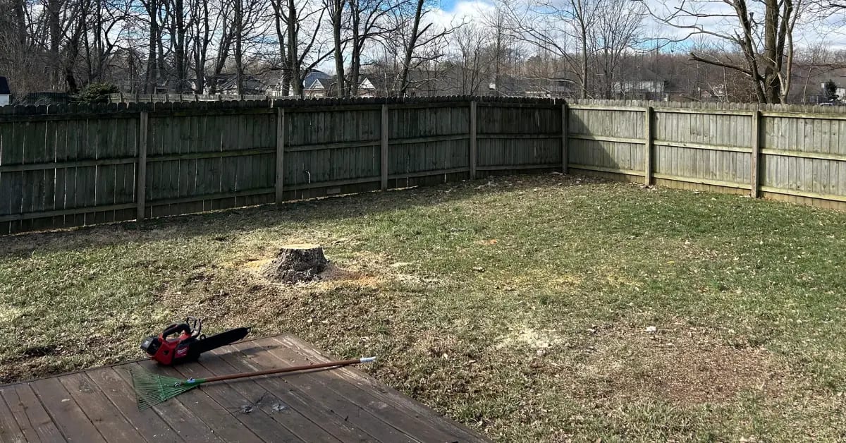 Tree Cutting Service in Evansville, IN