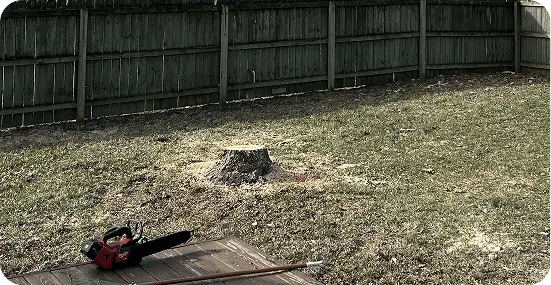 Tree Cutting